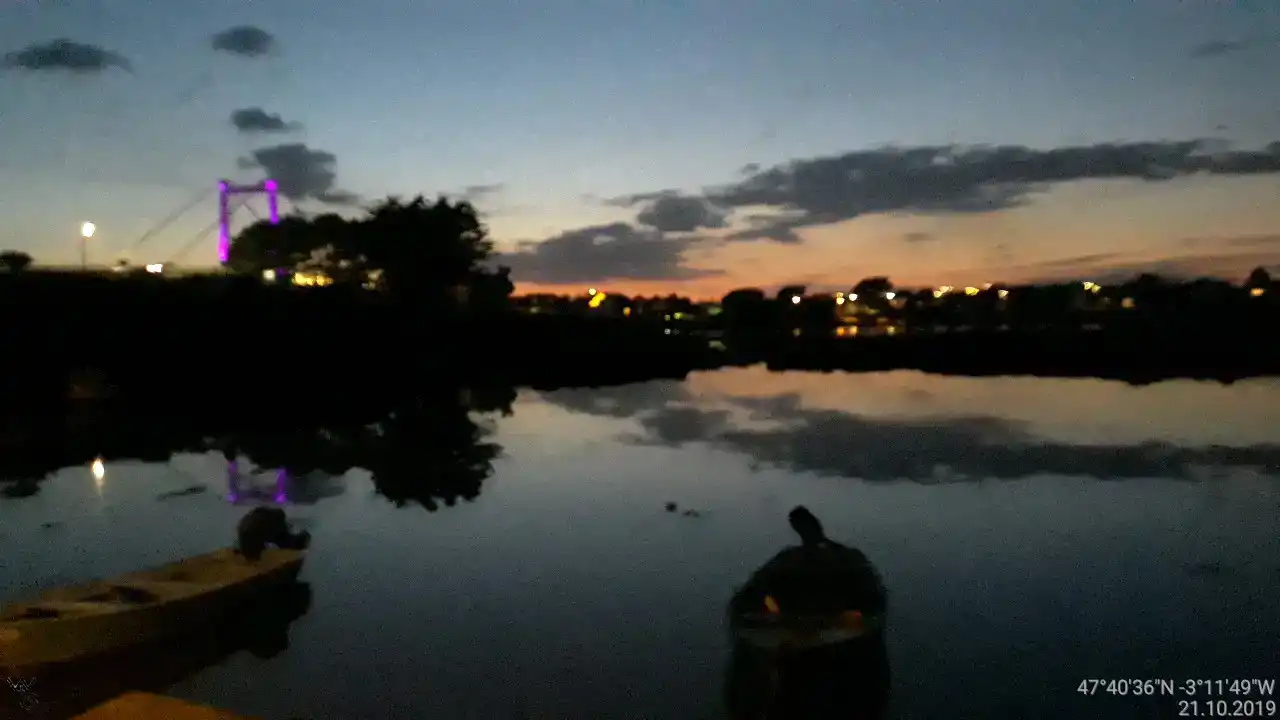 115