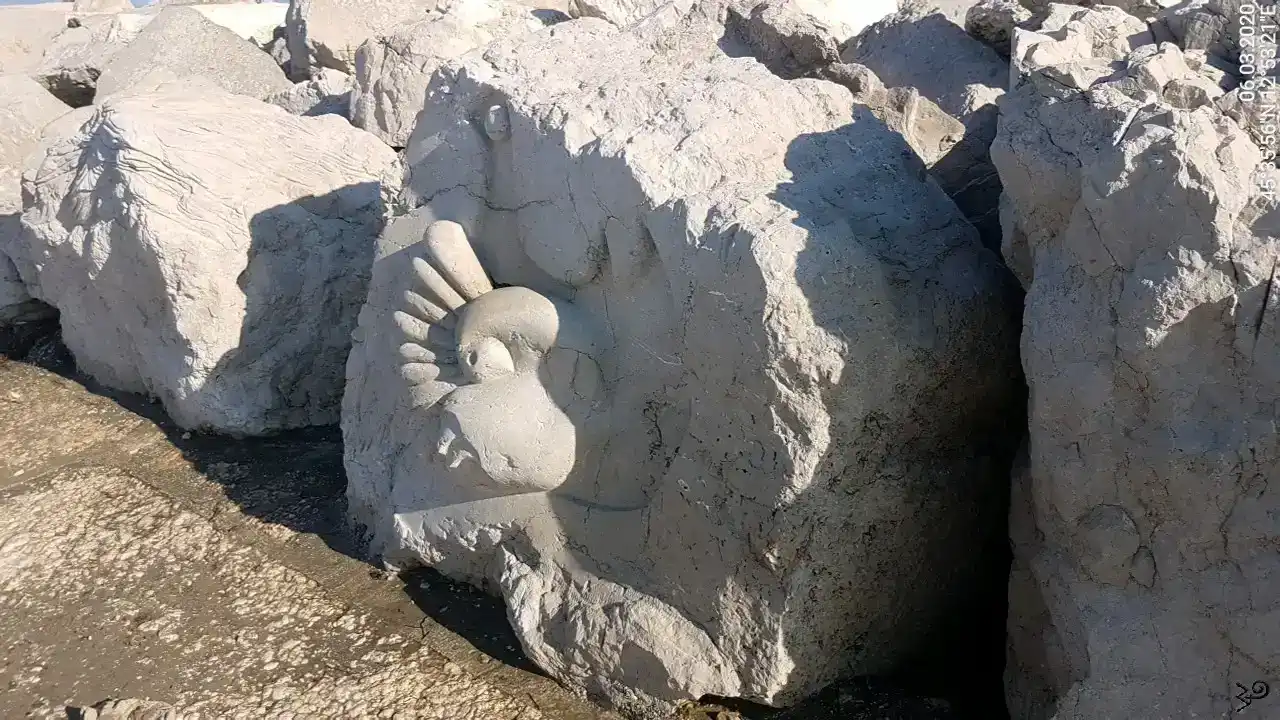 258