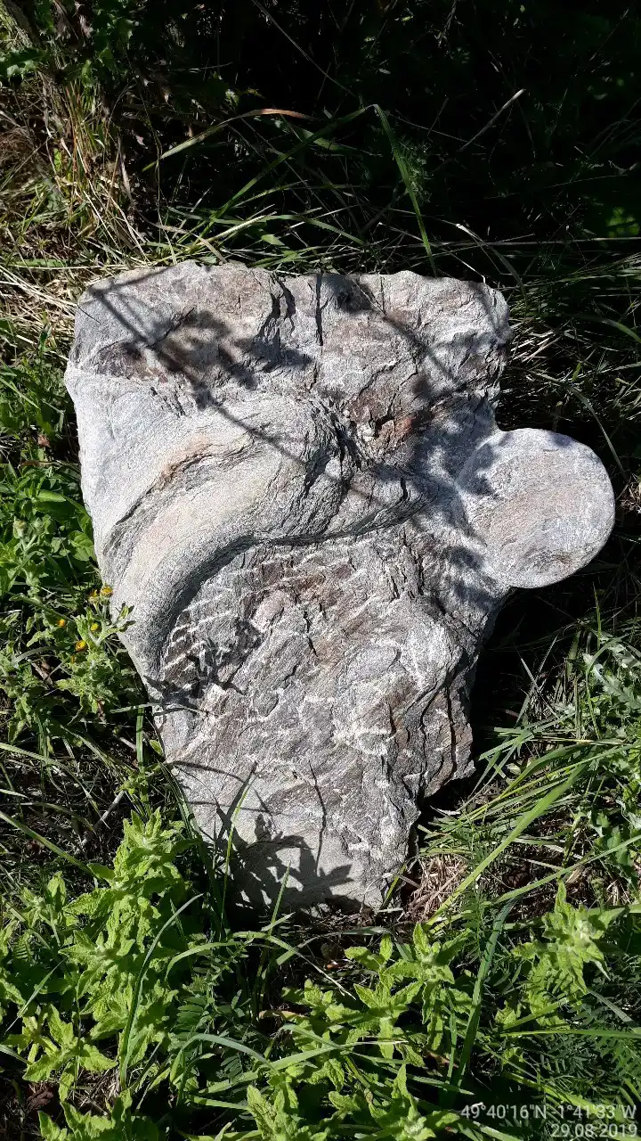 80
