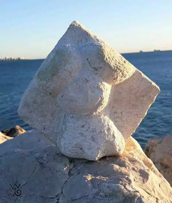 20