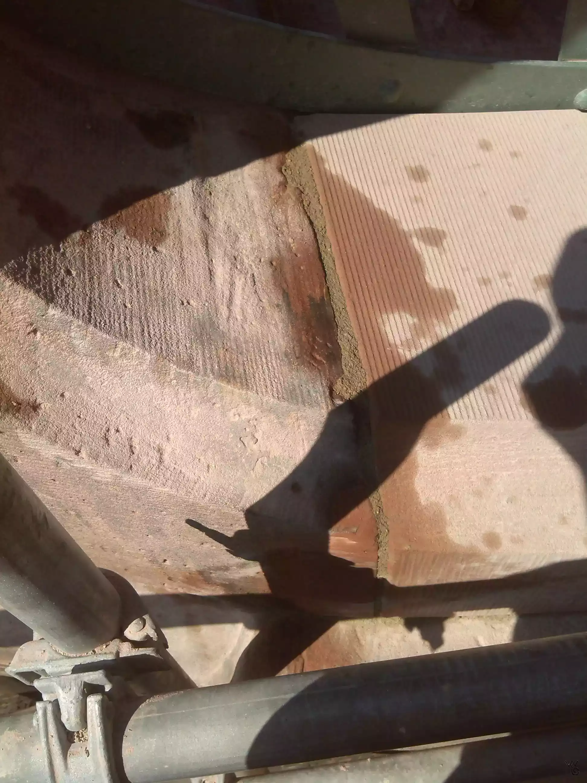 55